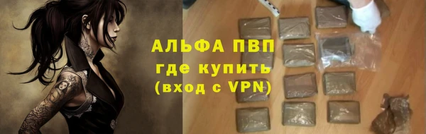 мдпв Инсар