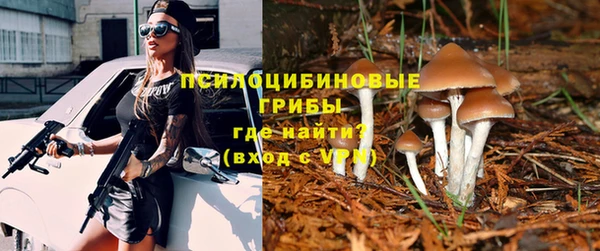 a pvp Каменск-Шахтинский