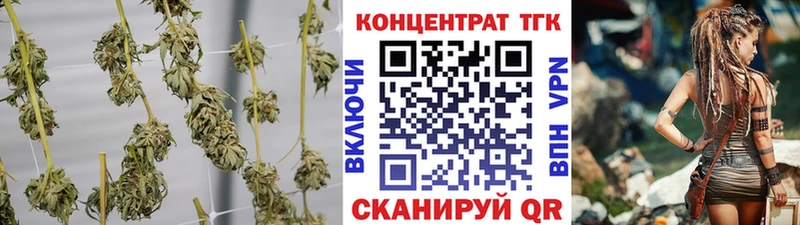 ТГК концентрат  hydra tor  Цоци-Юрт  купить наркоту 