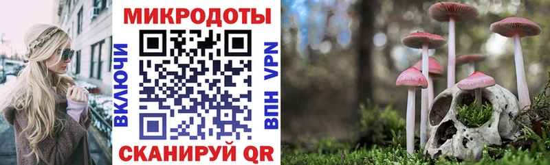 Псилоцибиновые грибы Cubensis  как найти закладки  Цоци-Юрт 